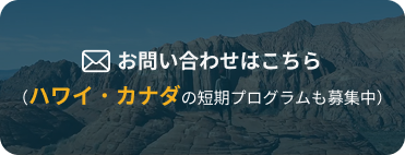 ハワイ・カナダの短期ブログラム